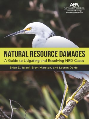 cover image of Natural Resource Damages: A Guide to Litigating and Resolving NRD Cases
